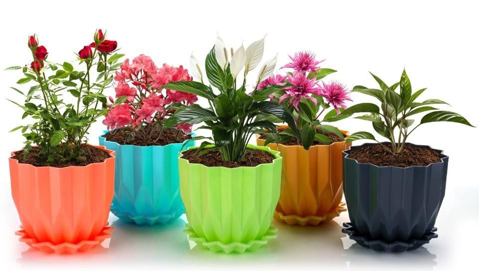 Cammy Plastic Star Flowerpots with Tray Multicolor Set of 5 Piece Garden & Outdoor