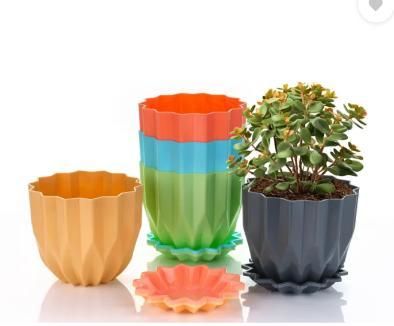 Cammy Plastic Star Flowerpots with Tray Multicolor Set of 5 Piece Garden & Outdoor
