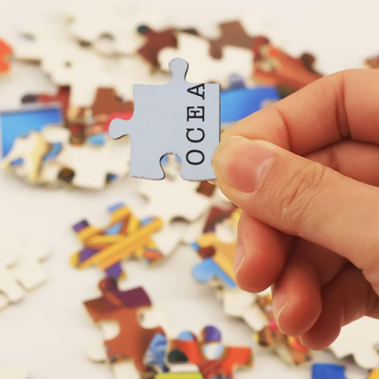Wooden India Map Puzzle - (1 Set) Puzzle